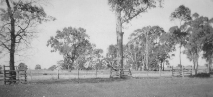 Booroopki Avenue of Honour, West Wimmera, Victoria, Aus